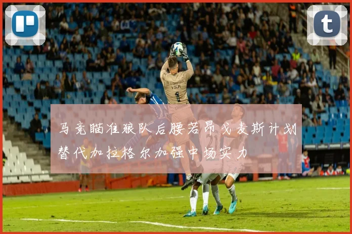 马竞瞄准狼队后腰若昂戈麦斯计划替代加拉格尔加强中场实力