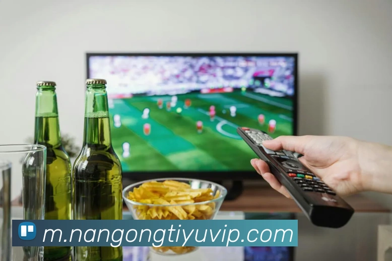 南宫体育服务体系